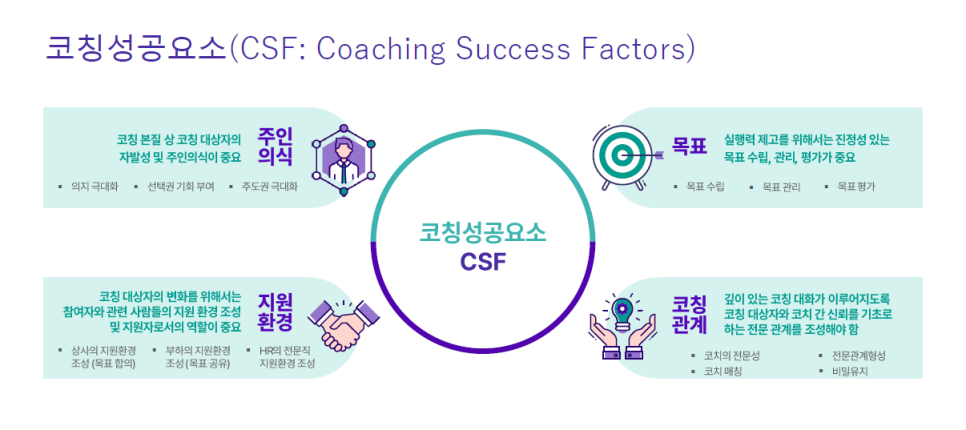 CSF 모델 이미지
