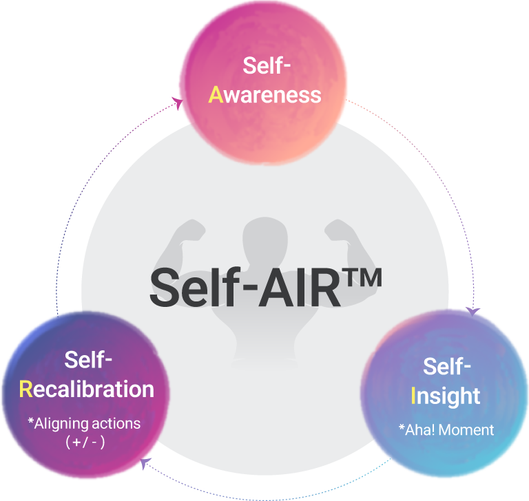 Self-Awareness → Self-Insight → Self-Recalibration